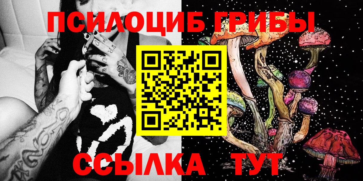Псилоцибиновые грибы прущие грибы Зима